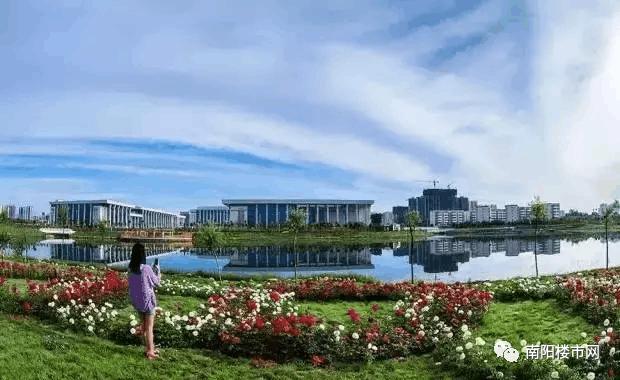 南阳这条百年历史的老“官道儿”，为什么总遭“吐槽”？