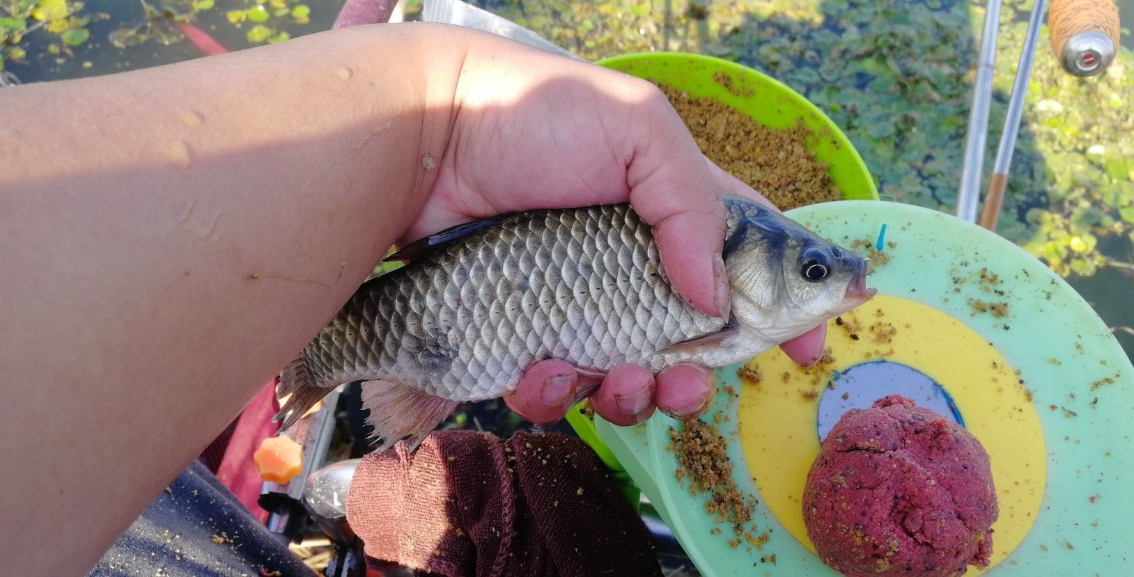 手竿钓鲢鳙钓浮怎么调漂详细过程,鲫鱼钓底还是钓浮怎么调漂