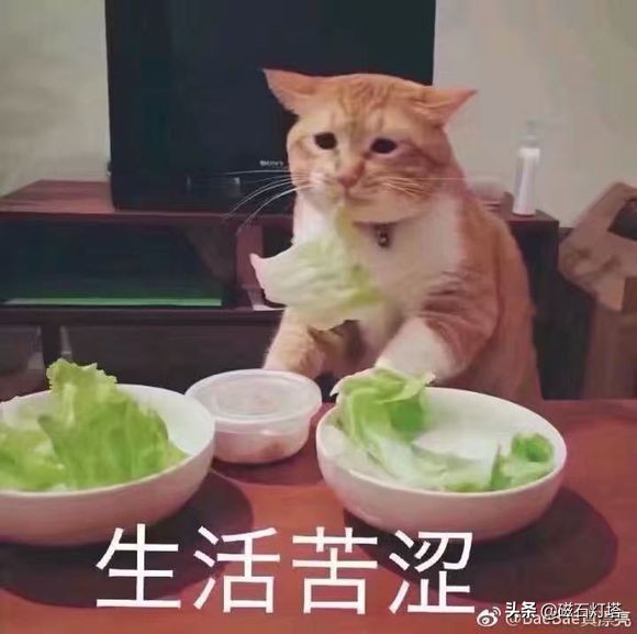 剑侠情缘3剑网三,剑侠情缘剑网3