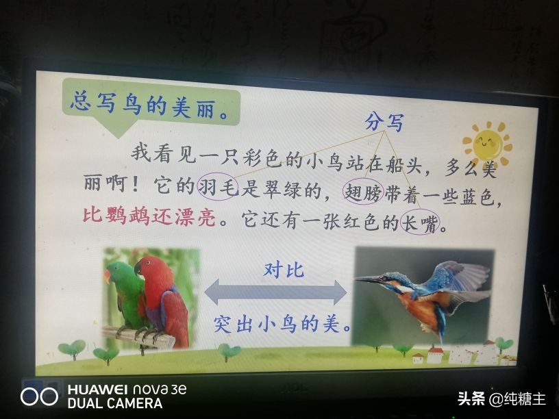 三年级语文上册搭船的鸟预习笔记,三年级搭船的鸟课文笔记