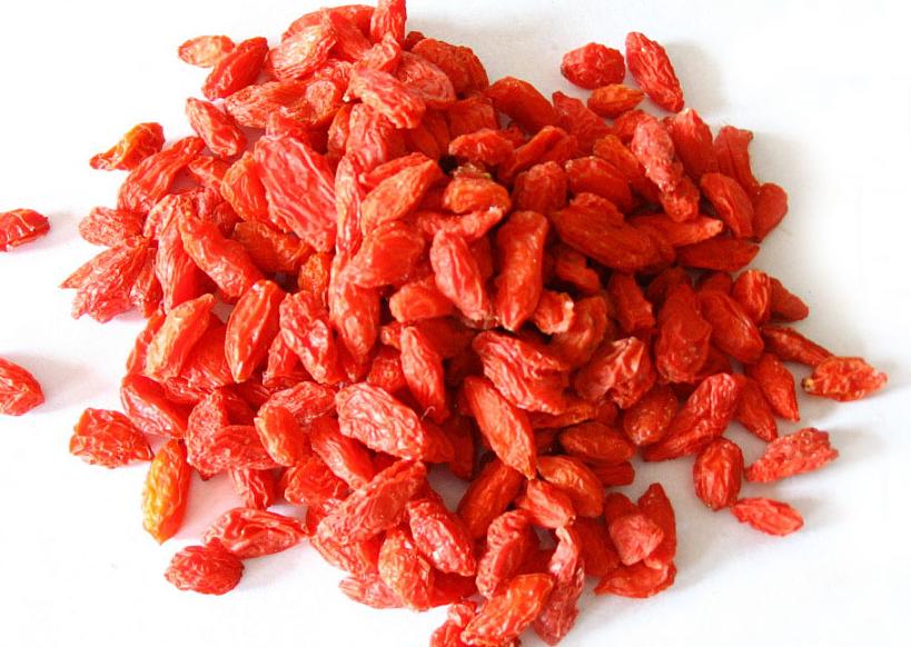 天下黄河富宁夏,天下黄河富宁夏枸杞