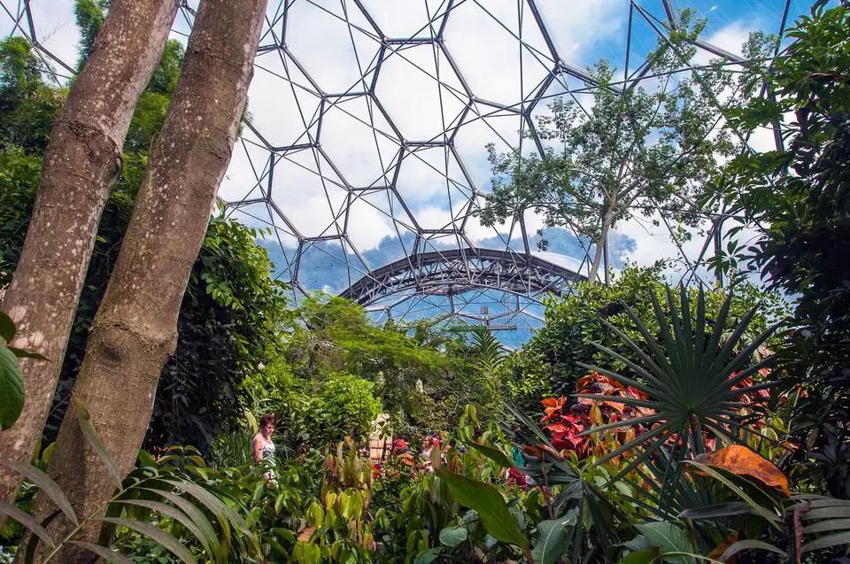 世界第八大奇迹：废矿变身伊甸园，年游客超两百万