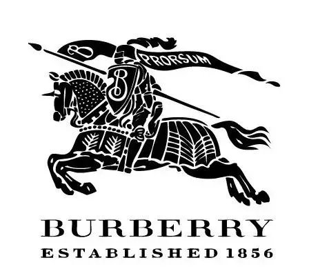 十大女装品牌排行榜前十名,成都ifs女装奢侈品牌