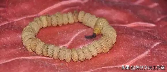 文玩菩提怎么盘好玩图解,文玩菩提入门盘什么