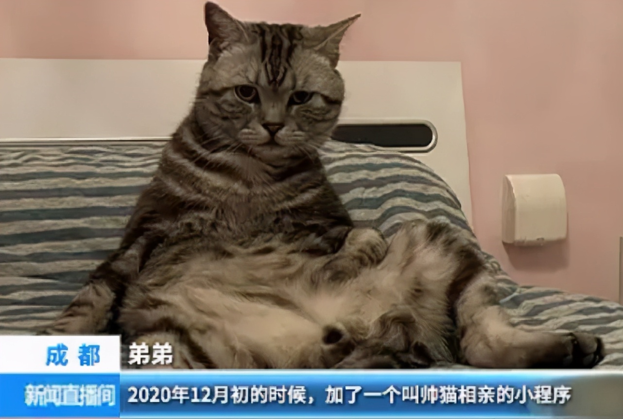 喜欢上了房东怎么办,喜欢上了房东该怎么办