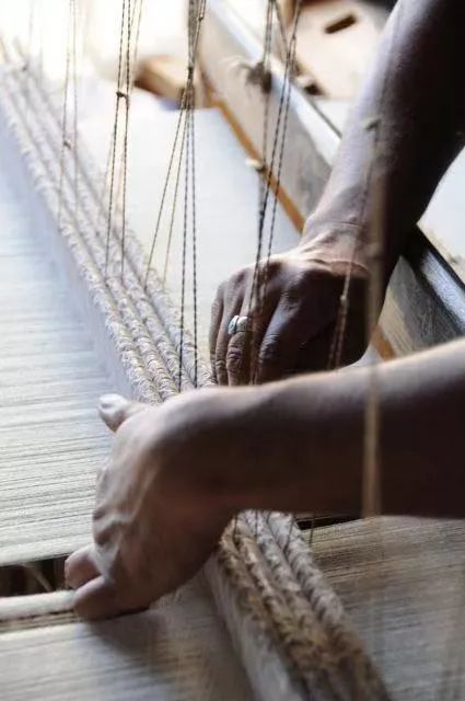 凯特王妃戴安娜,凯特王妃罗斯玛丽