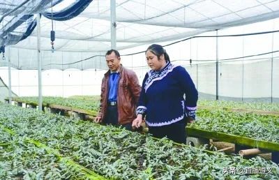 观看醉美遵义城最美遵义人的感想,醉美贵州城最美遵义人