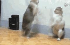 求求各大高校，不要再为了抢我使下三滥手段了