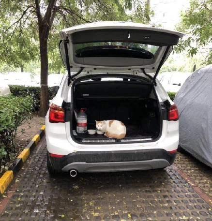 后备箱有“四不放”，很多车主还不知道？最后一样或能让车辆报废