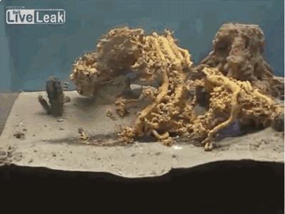 化学动态图解大全,37张化学动态图