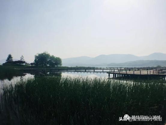 阳光体育节的超燃瞬间,阳光文化节方案