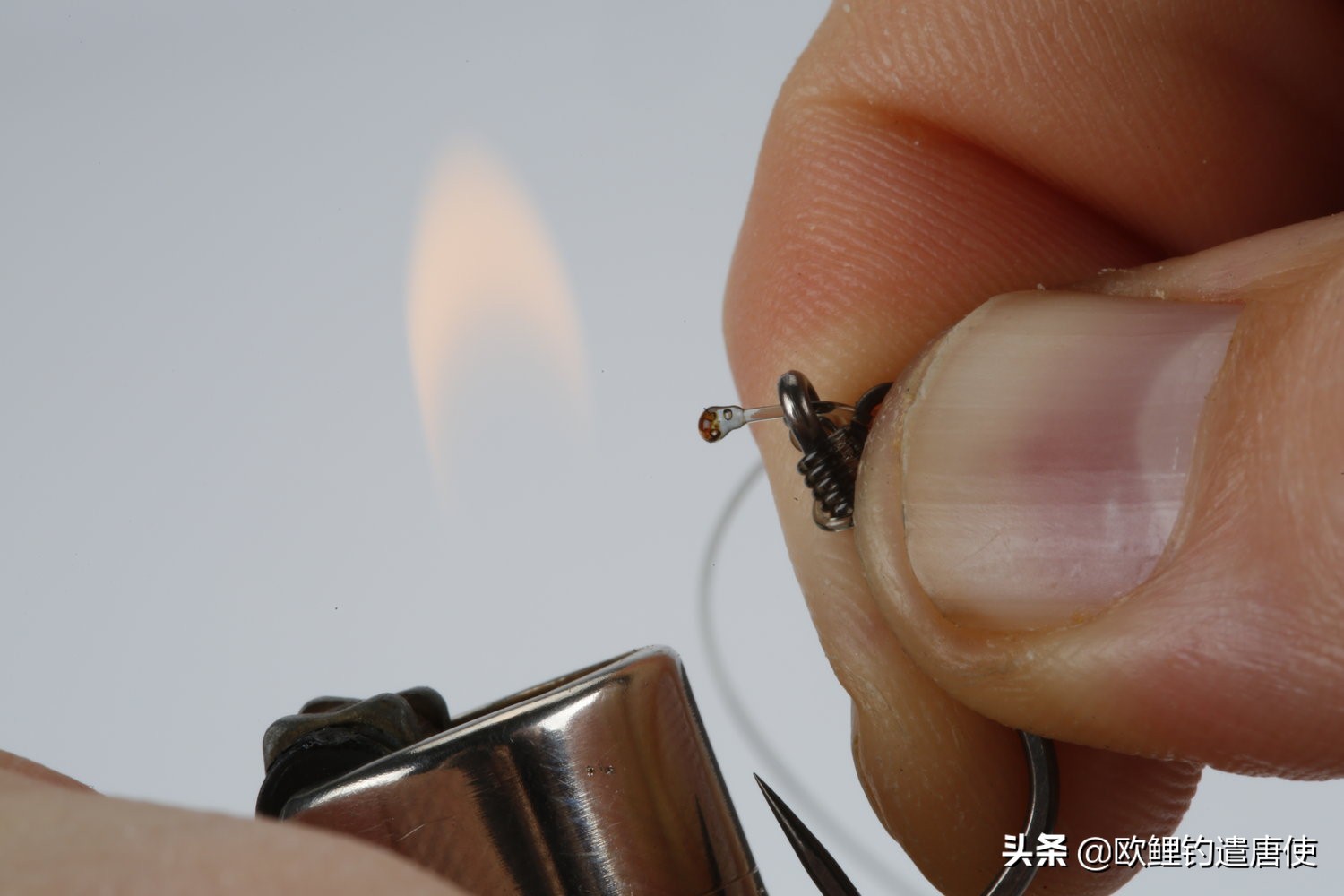 话说欧鲤钓最新消息,话说欧鲤钓鱼完整版