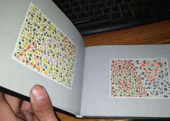 车管所色盲测试图视频讲解,车管所测试色盲图片真实