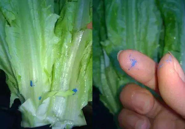 菜上残留农药怎么办,菜叶上残留的绿色农药叫什么药