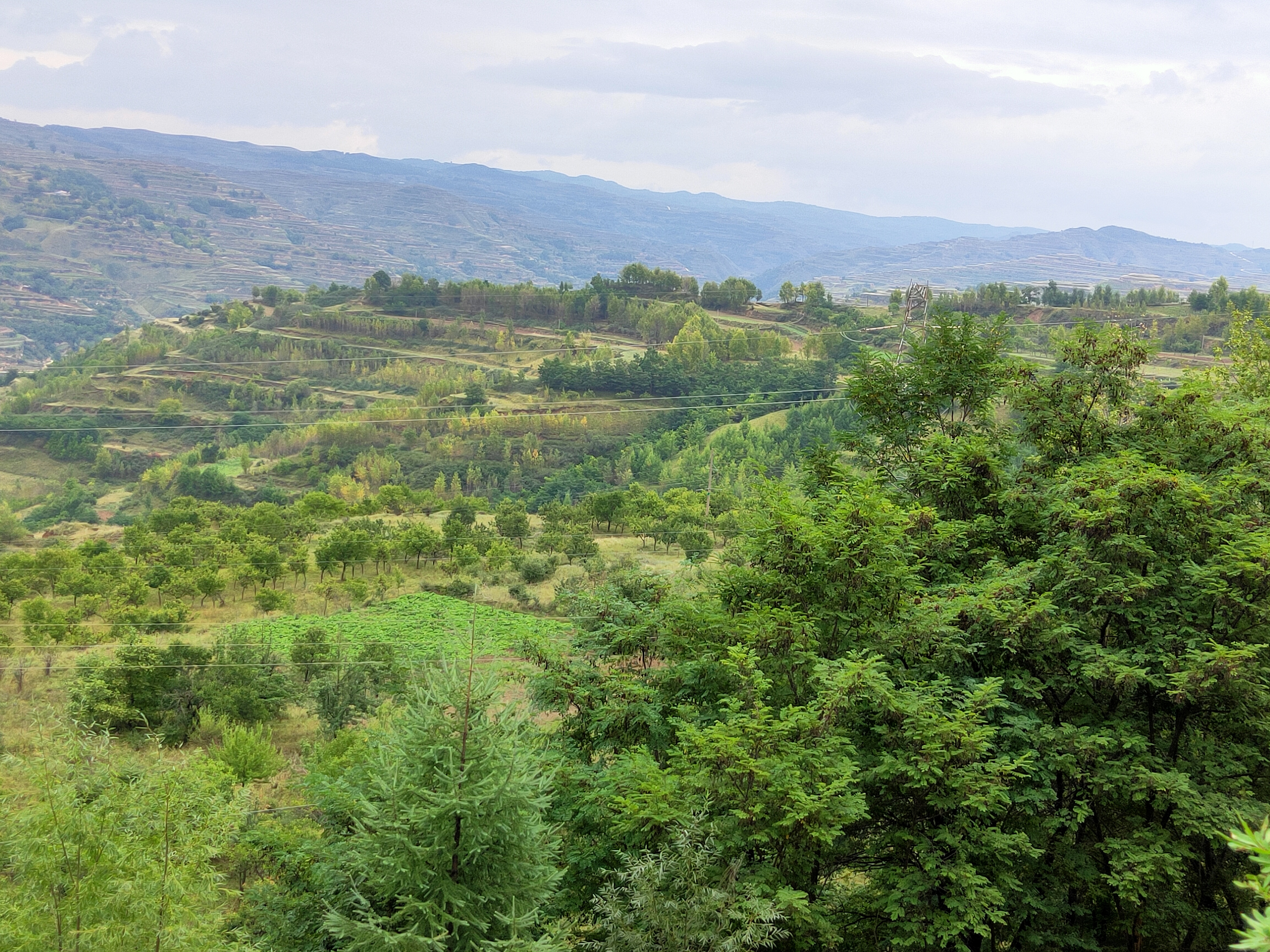 甘肃省2020年正高级教师评审条件,2021甘肃正高级教师通过名单