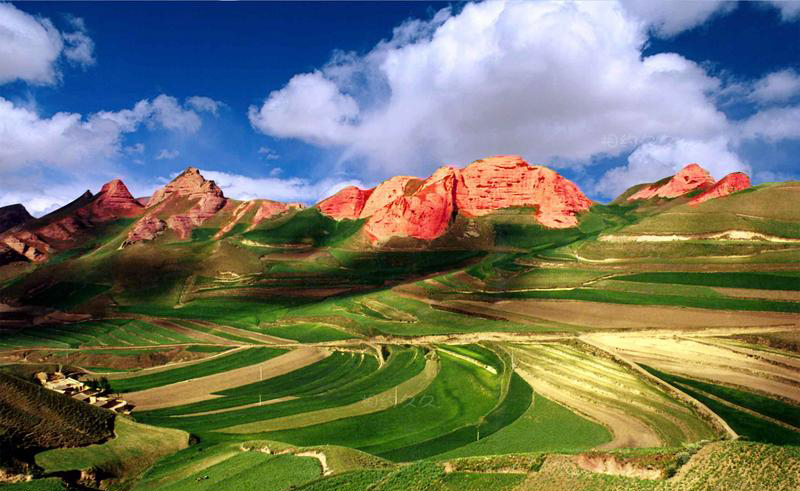 从宁夏走出的十大男星,甘肃天水出帅哥