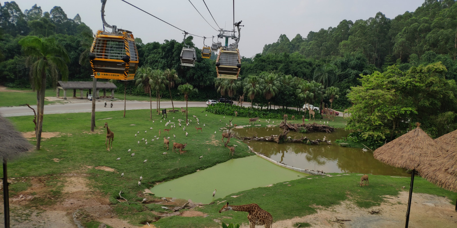 广州长隆四大园区攻略,广州长隆有哪些好地方