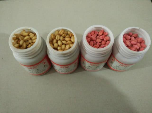 一种神奇钓法世代相传能钓各种鱼,四川钓谷麦的正确方法