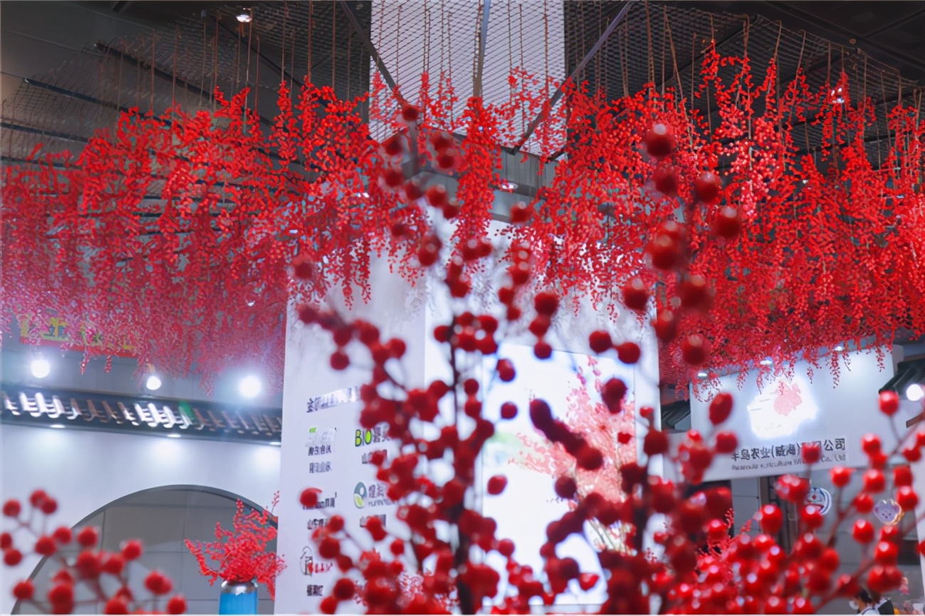 让人惊艳的花展,花展上看到的美到窒息