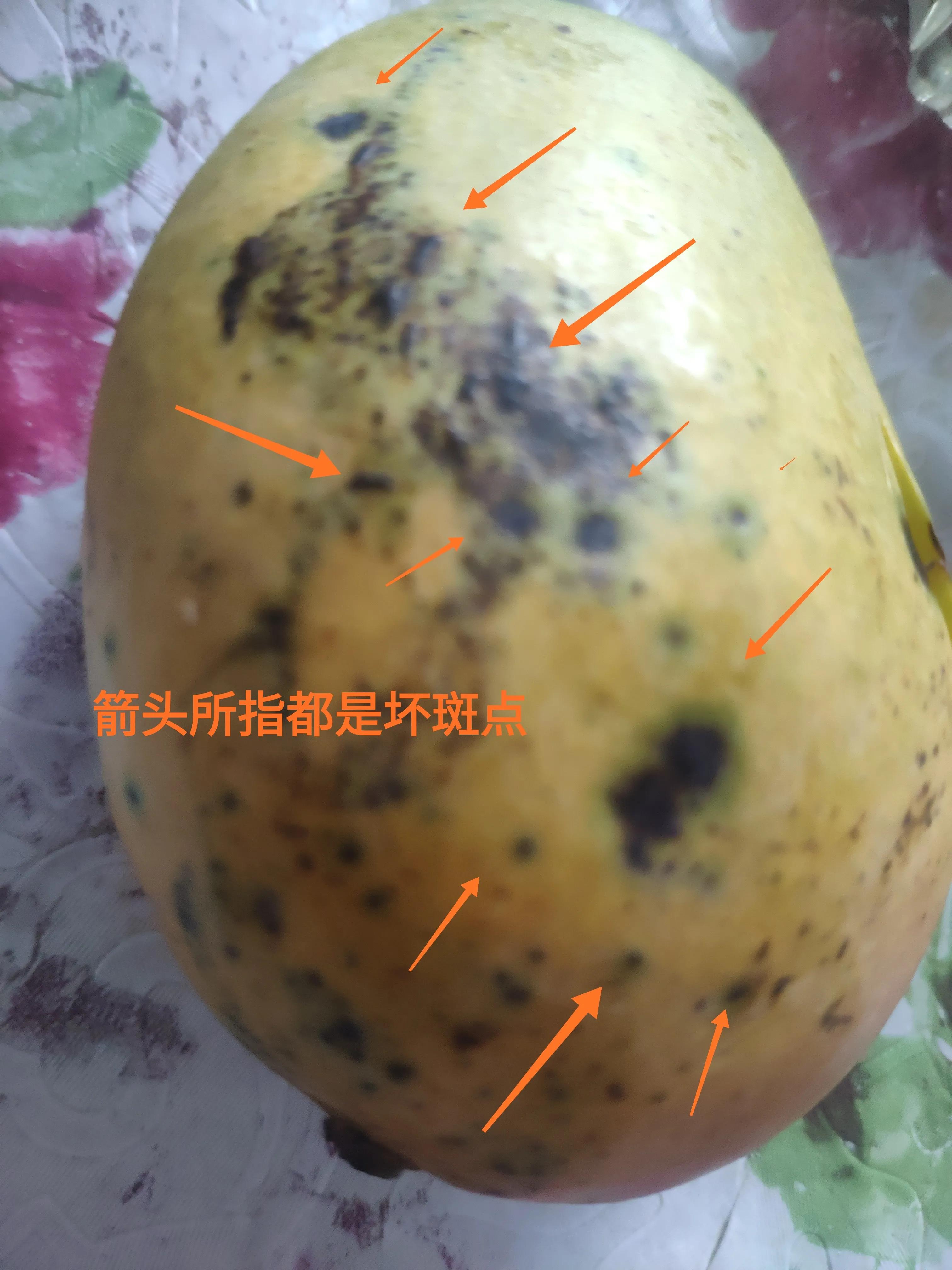 网上购买水果苹果哪家最好,水果app网上订购