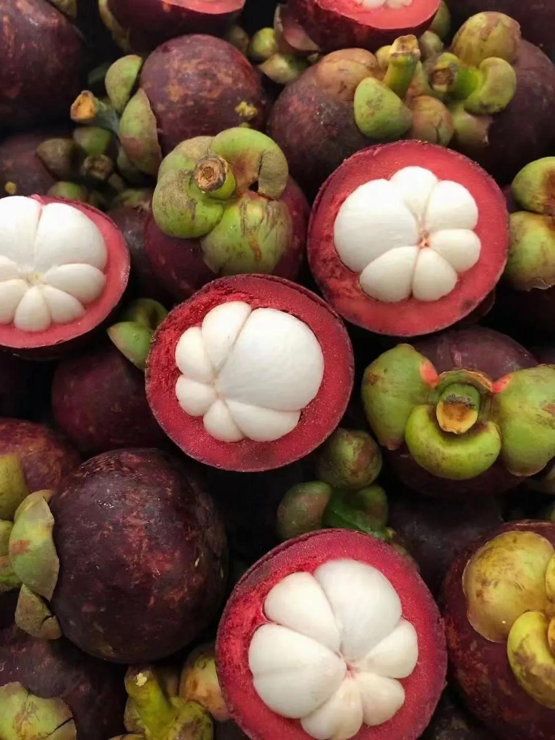 山竹水果几个产地的品种,热带水果山竹什么时候上市