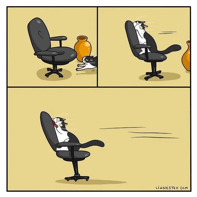 沙雕猫片，笑到床塌！自从做了卑微的铲屎官，比一个人时刺激多了