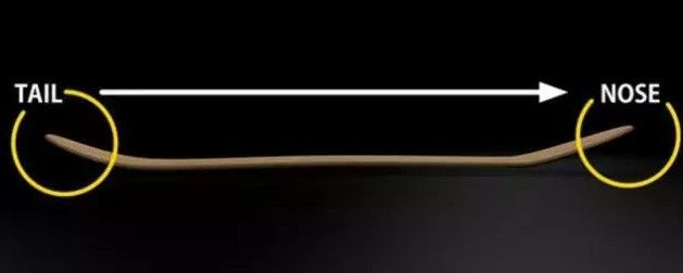 是小鱼型滑板好还是双翘型滑板好,初学滑板怎么挑选滑板