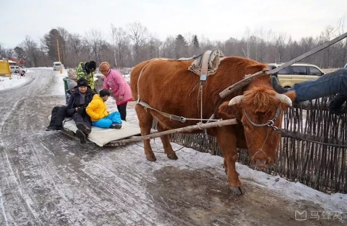 不忽悠！“拔草”吉林这些小村屯才不辜负这个冬天