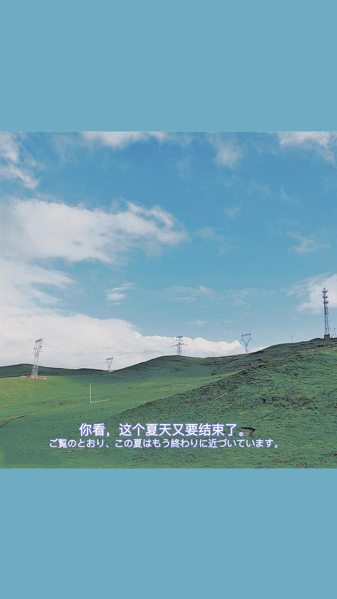 干净有质感的文字手机壁纸,多彩多色花超清壁纸