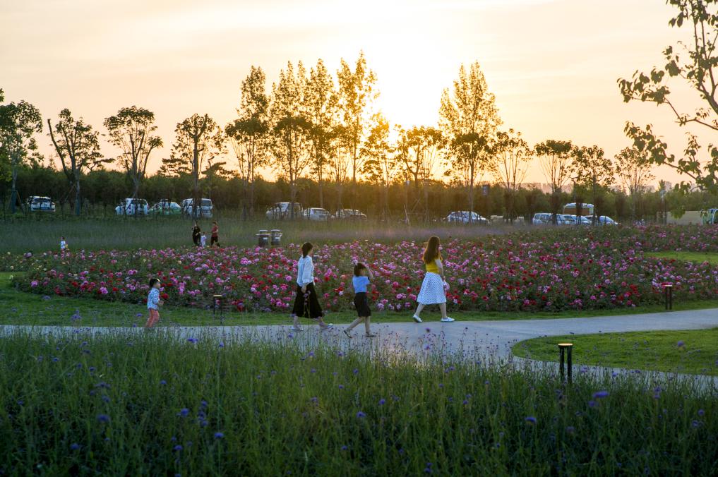 西安公园24小时开放,西安免费儿童玩的公园