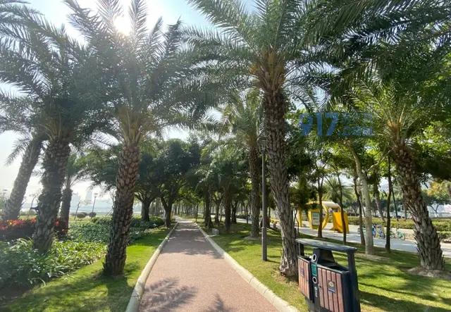 厦门海沧天源开盘价,海沧天源小区的房价是多少