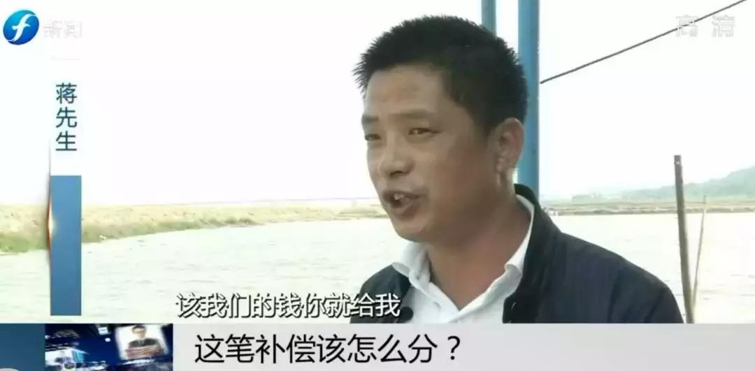 闹心|眼看快收成了,却遇上了麻烦事!这笔清退补偿究竟该怎么分?