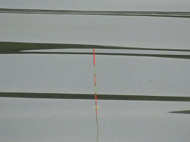 野钓走水用什么办法解决,野钓走水应对最好的办法