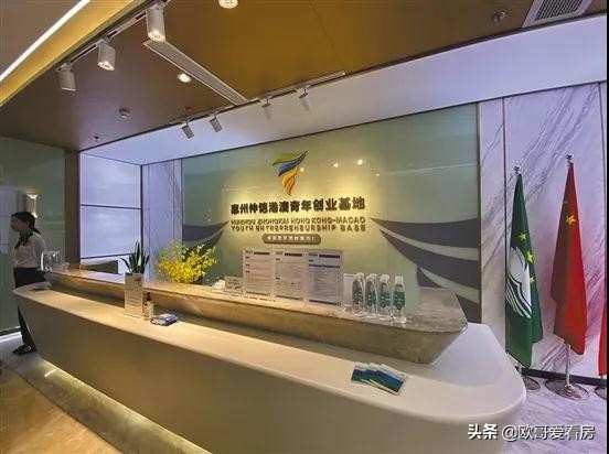 惠州仲恺区以后发展怎么样,仲恺区2020年gdp