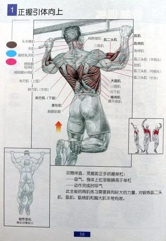 男士居家健身30分钟全身训练,男士健身保健操40至50岁