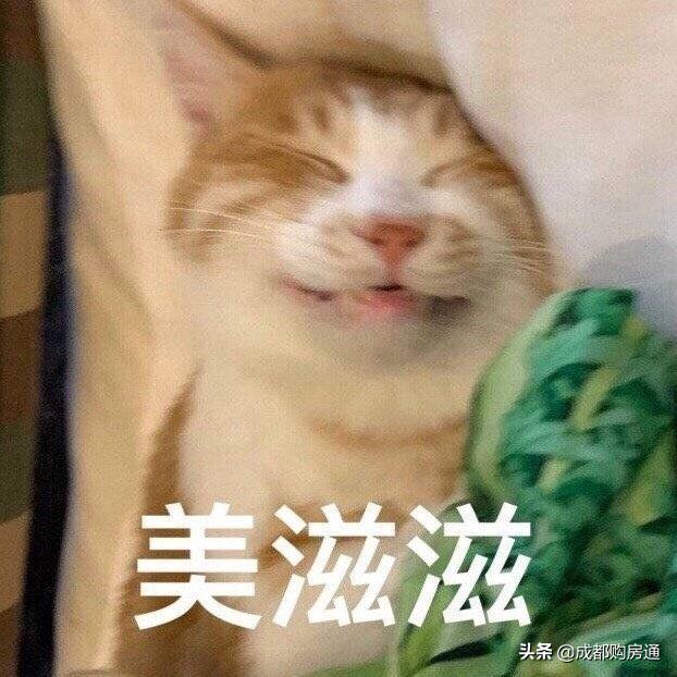 奇葩楼盘名,成都十大奇葩楼盘