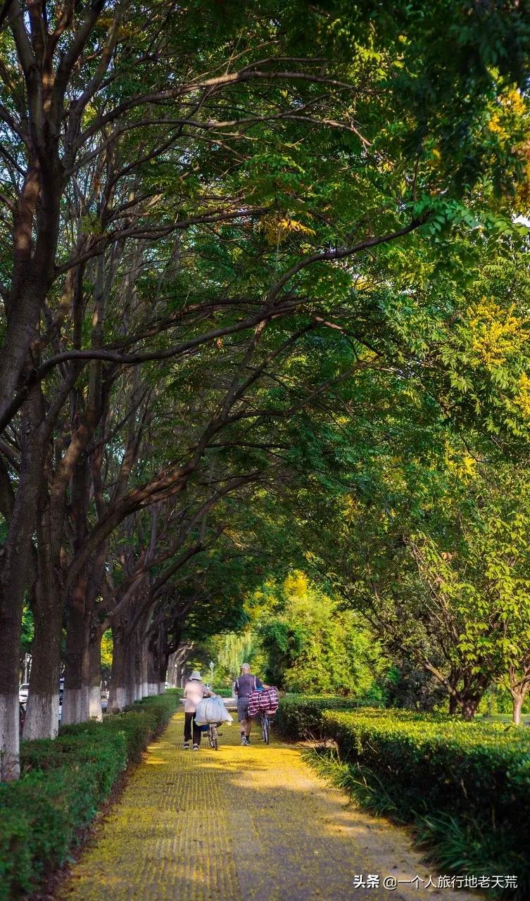 原来它才是江苏最安逸城市，累了就去小住几天