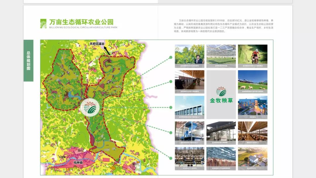 三农观察特稿｜金牧粮草承载“饲草皇后”的乡村振兴梦