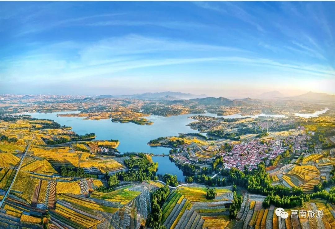 悦享莒南|惊艳了莒南蓝，温暖了遇见