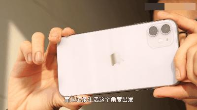 b站鸽王有哪些,b站up主鸽子