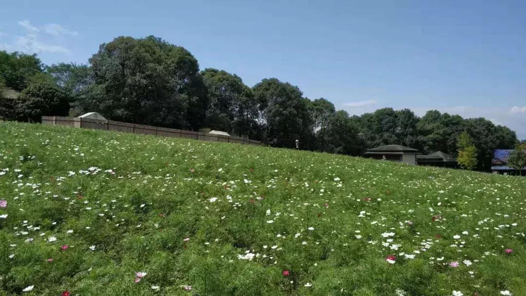 石象湖景区团购,石象湖景区门票特价