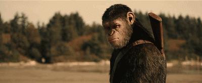 出生即炼狱：压力大吃，缺少食物吃，仓鼠总有理由吃自己的孩子