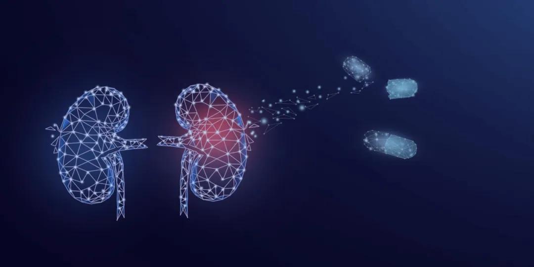 世界肾病日如何防,2020年世界肾脏日