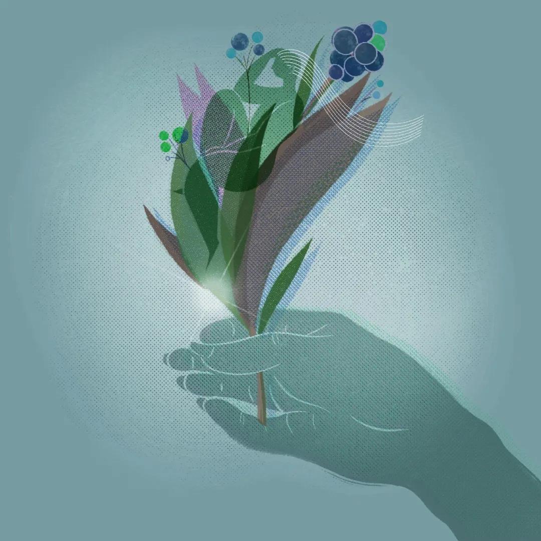 新东方等教育机构如何转型,新东方转型农业教育