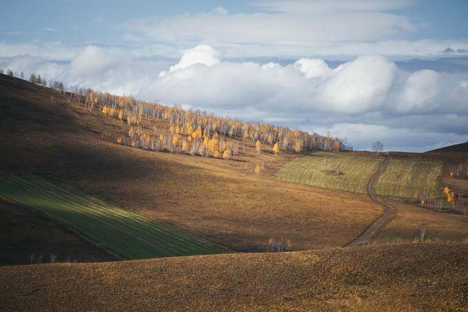 自驾呼伦贝尔|七千里路云和月,写给秋天和自己的故事