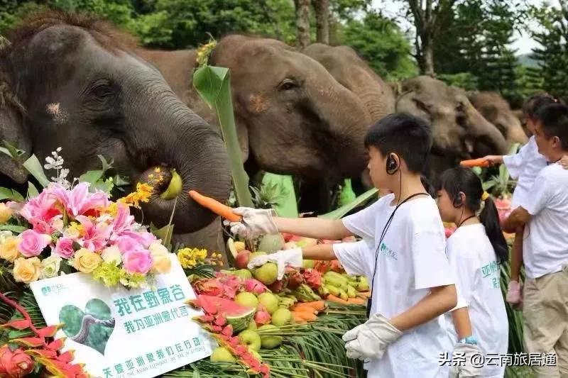 最好的风景在路上云南,有一种山叫云南的山
