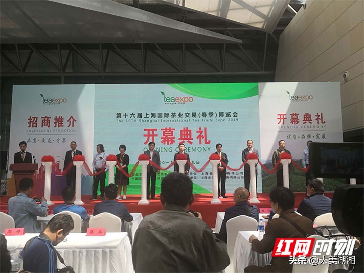 一片莓茶为何舞动上海滩