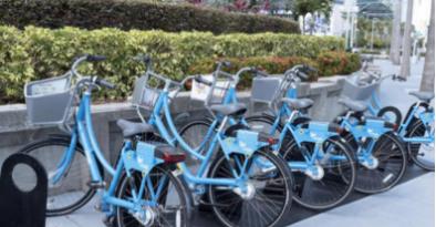 俄亥俄州立大学生活指南,佛罗里达大学日常生活