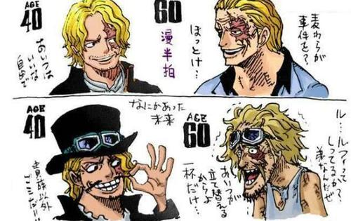 路飞索隆山治艾斯萨博娜美,当路飞老了以后