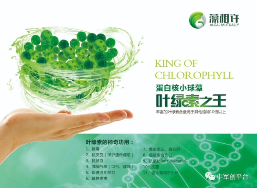 小球藻营养模式,小球藻食品推广